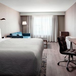 Junior Suite 1 King Alternate bed sofa bed